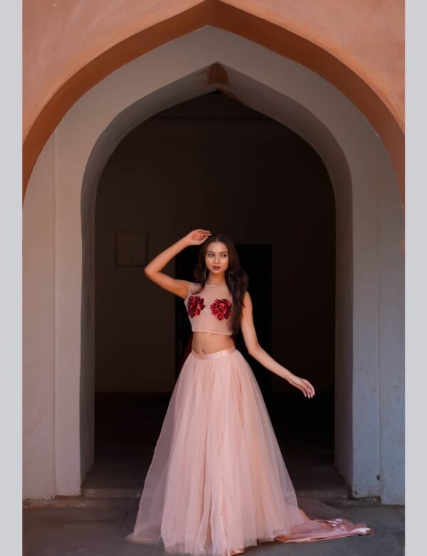 Blush Petal Embellished Lehenga Set