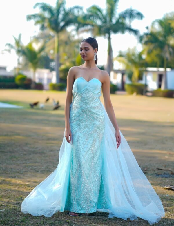 Frosted Bloom Embroidered Tulle Gown